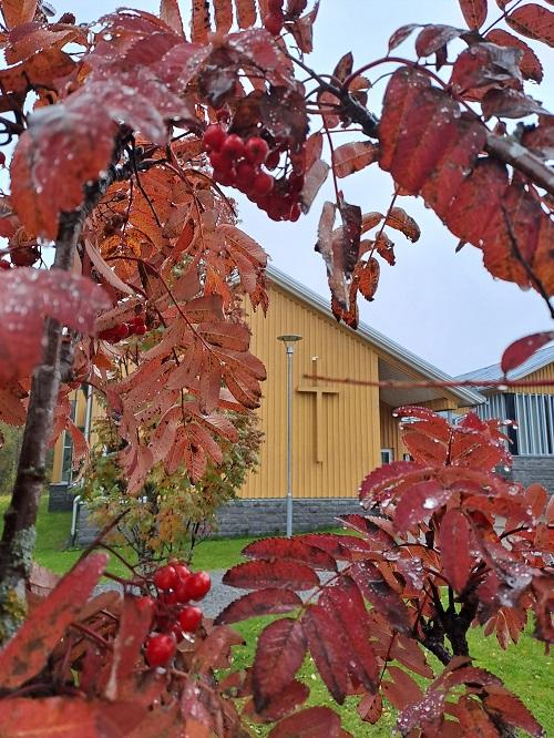 Röda rönnbärsblad i förgrunden och Larsmo församlingshem i bakgrunden