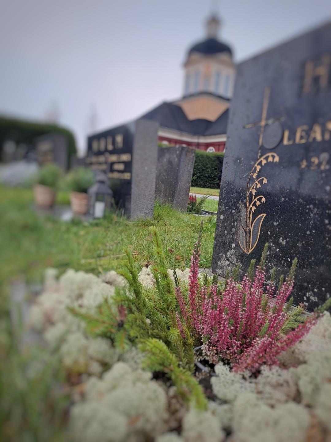 Gravgård med gravstenar, ljung och ljus. Kyrka i bakgrunden.
