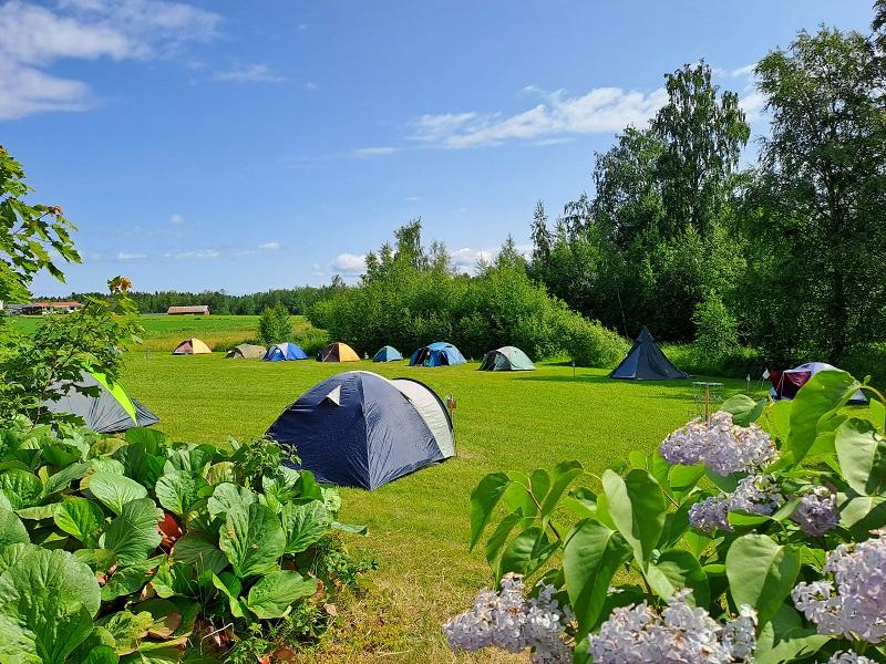 Anmälan till tältläger